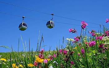 Seilbahn über blühenden Wiesen Seilbahn schwebt über bunten Wildblumen und grünem Gras.