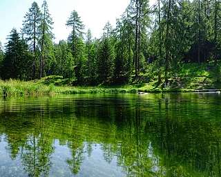 Reflets d&#039;arbres dans un lac calme et verdoyant.