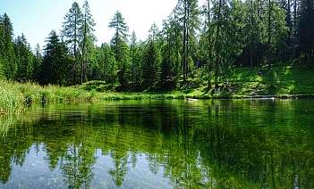 A tranquil lake surrounded by lush green trees.