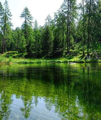 Ein klarer Waldsee mit grünen Bäumen und sanften Wellen.