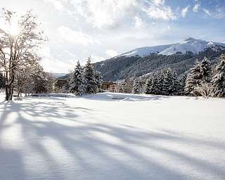 Schneebedeckte Bäume vor Bergen und sonnigem Himmel