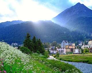 Vue d&#039;une vallée alpine avec fleurs et bâtiments en arrière-plan.