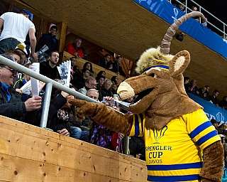 Ein Maskottchen interagiert mit Fans in der Arena.