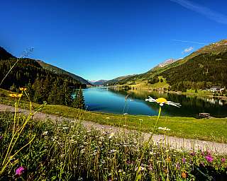 A tranquil lake with wildflowers and mountains in the background.