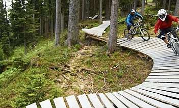 Mountainbiker auf Holzpfad Zwei Mountainbiker fahren auf einem gewundenen Holzpfad im Wald.